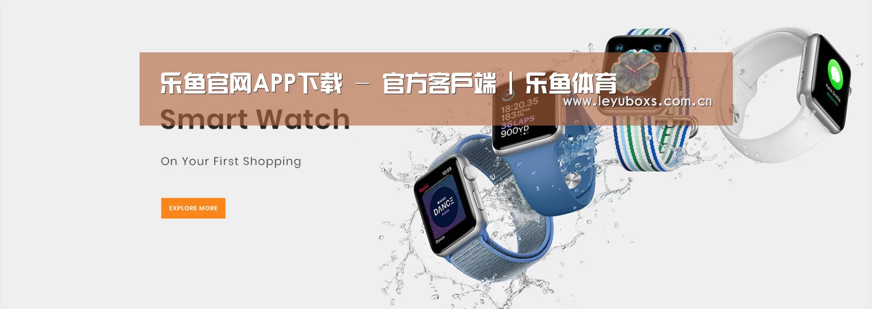 某某网络科技有限公司