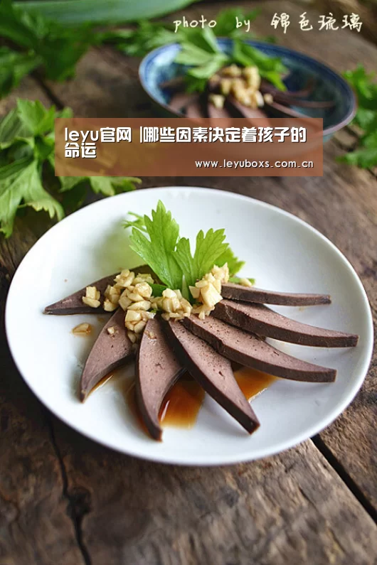  登录入口