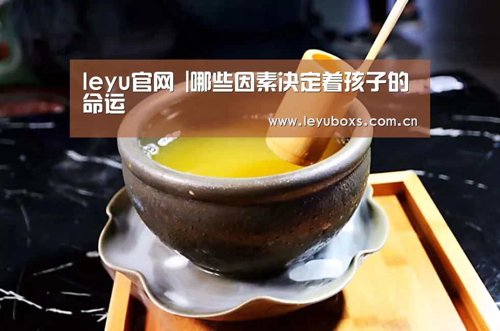  登录入口