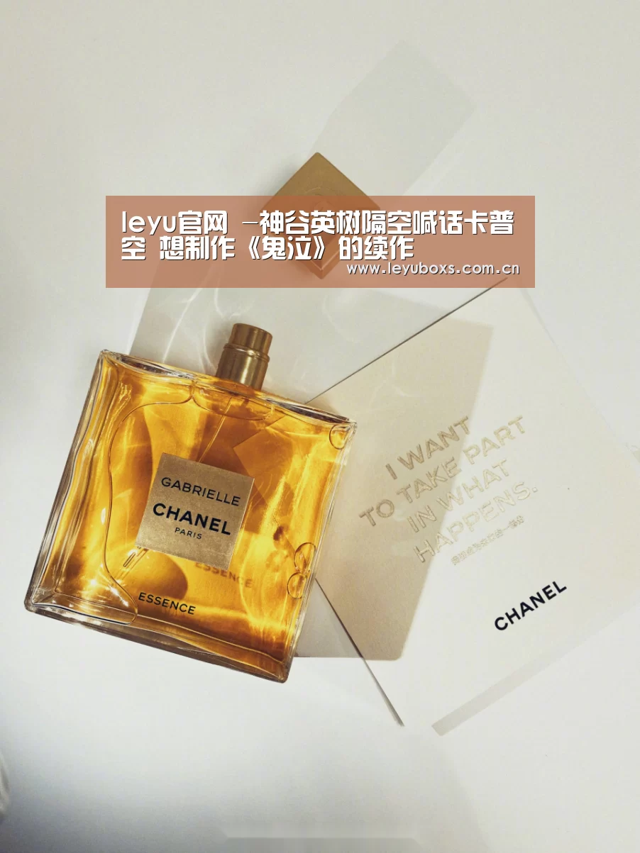  登录入口