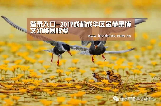 登录入口-2019成都成华区金苹果博文幼稚园收费(图4) leyu官网