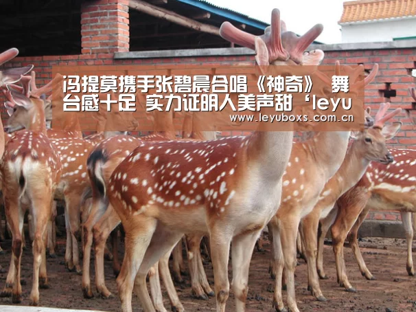 冯提莫携手张碧晨合唱《神奇》 舞台感十足 实力证明人美声甜‘leyu官网 ’(图1) leyu官网