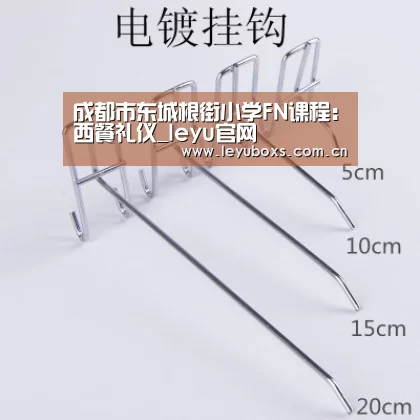 成都市东城根街小学FN课程:西餐礼仪_leyu官网 (图2) 乐鱼官方首页