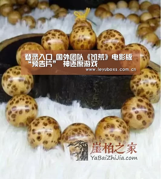  登录入口