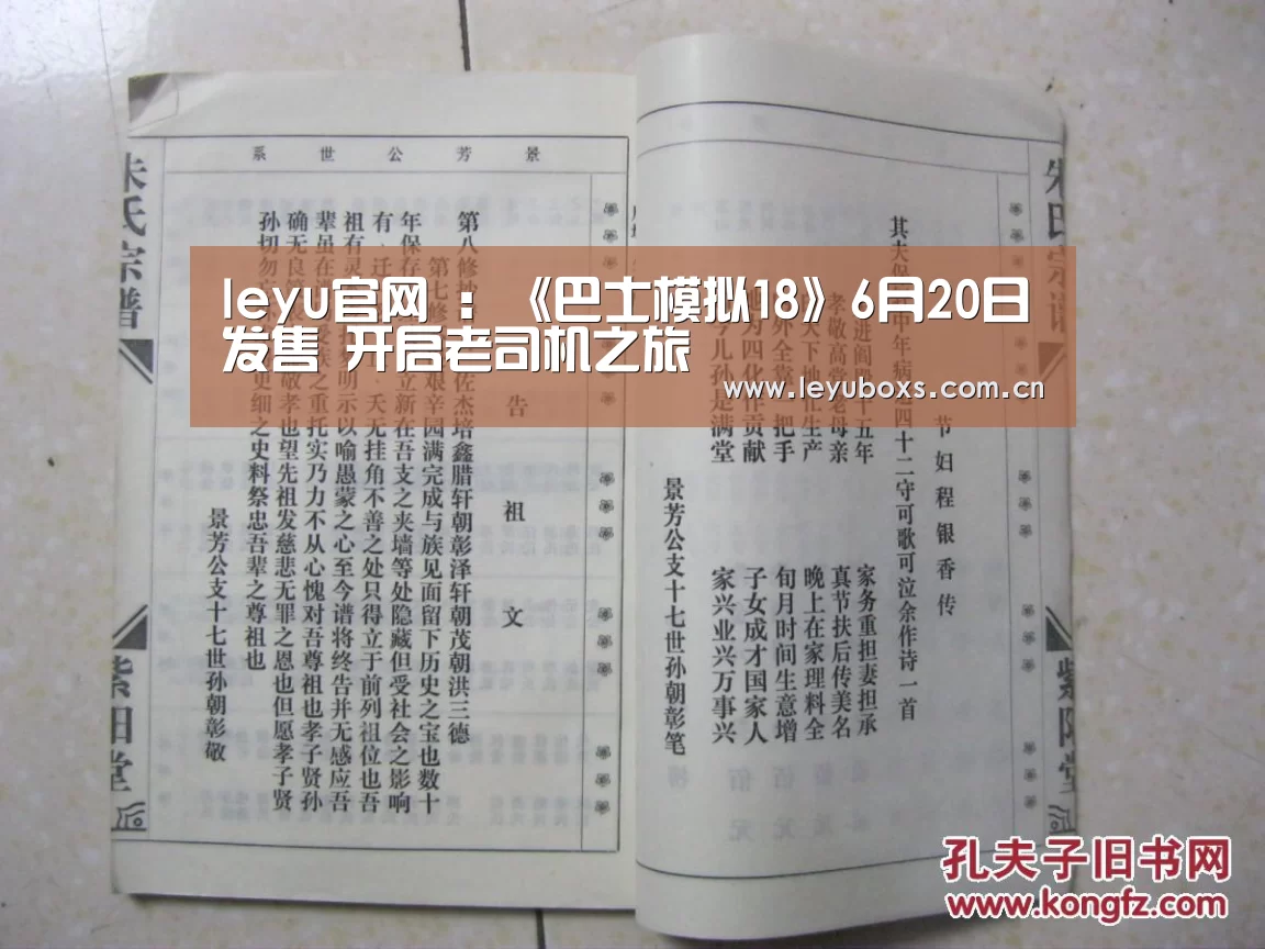 leyu官网 :《巴士模拟18》6月20日发售 开启老司机之旅(图3) 登录入口
