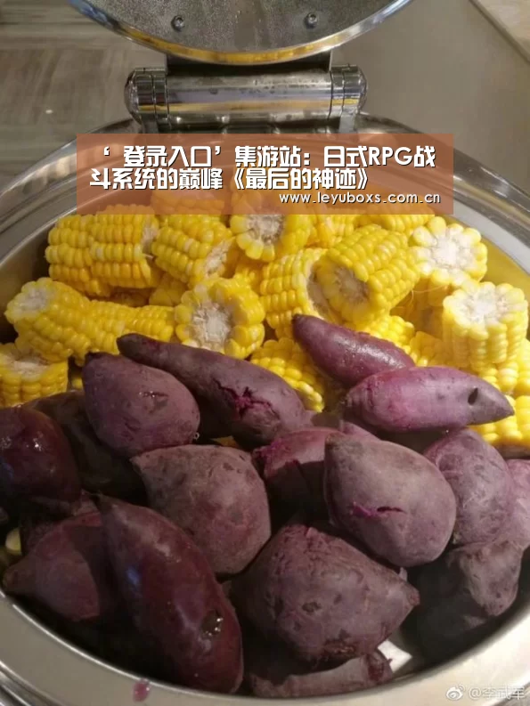 ‘ 登录入口’集游站:日式RPG战斗系统的巅峰《最后的神迹》(图2) 乐鱼官方首页