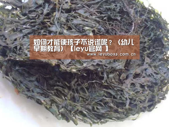  登录入口