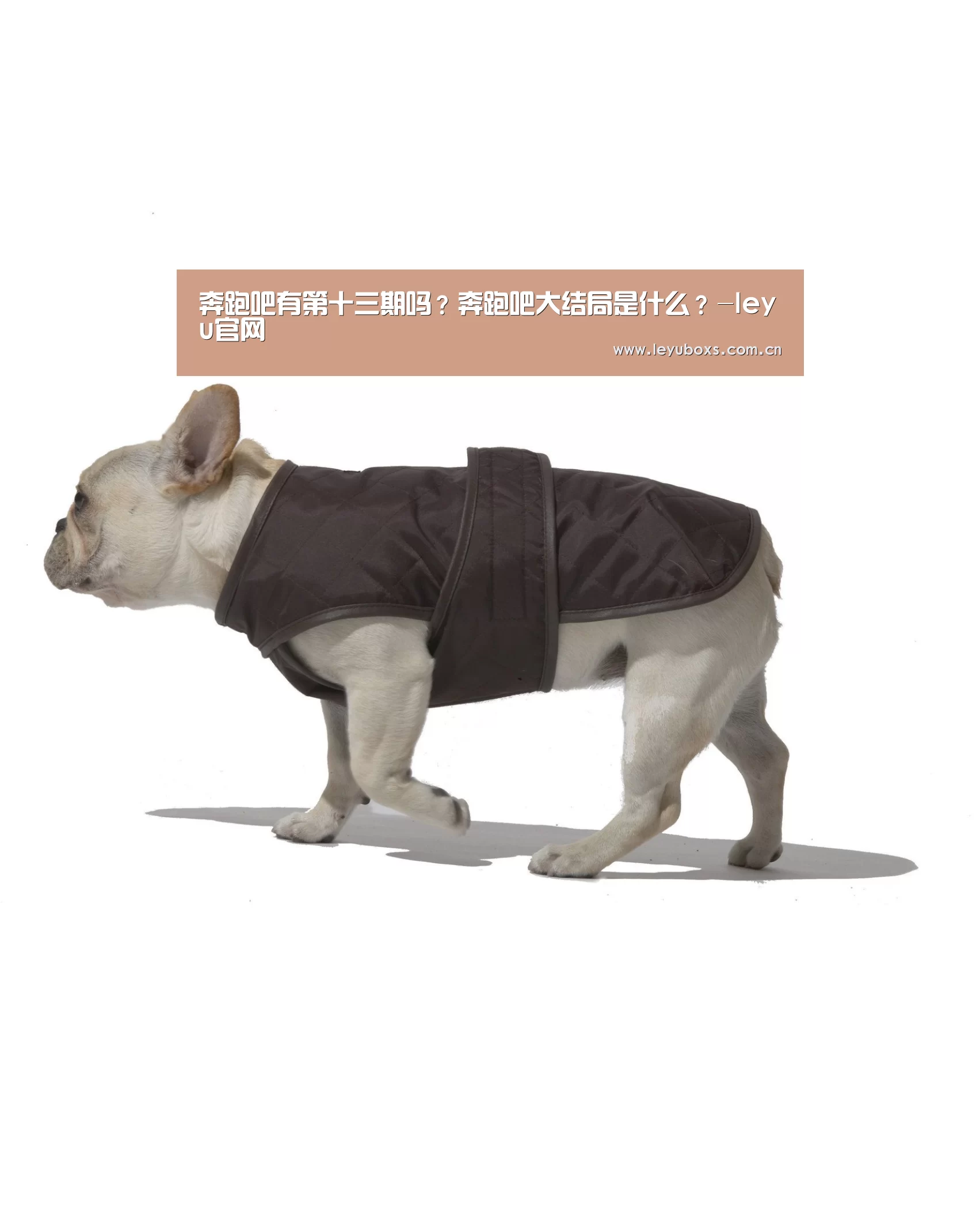 乐鱼官方首页 